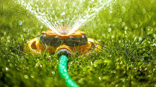 Be wise in your water ways — water on your day