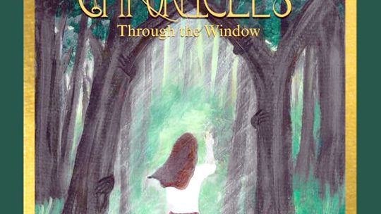 ‘Cardiatery Chronicles: Through the Window’ is now available