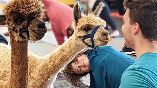 Grant money going toward programs promoting community health: ‘Get moving’