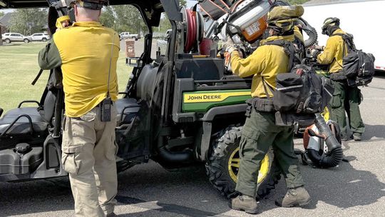 Help on Newcastle grass fire