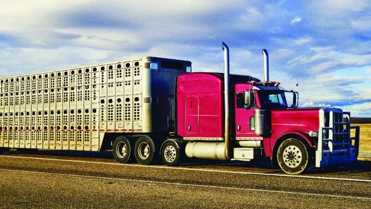 House Passes Wilk bill to strengthen CDL Standards