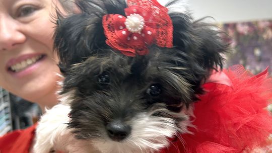 Mingling with Maggie