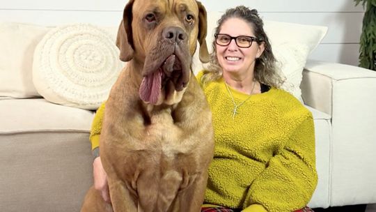 Ozzy holds the record