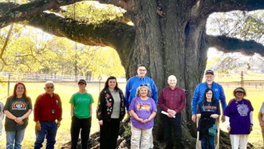 Reconnecting with ancestral Homeland