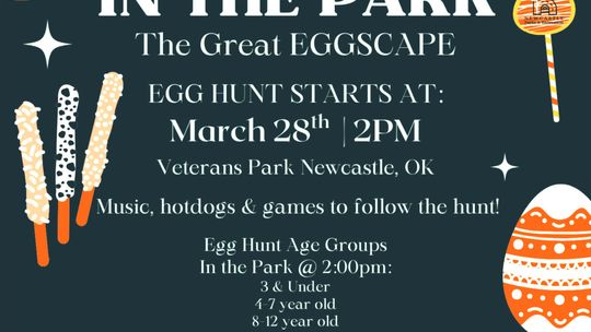 ‘The Great Eggscape’ planned for Newcastle residents