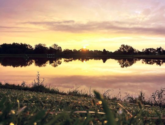 A Veterans Park sunrise