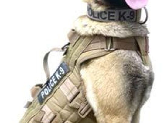 Ari gets a ballistic vest from Brady’s K9 Fund