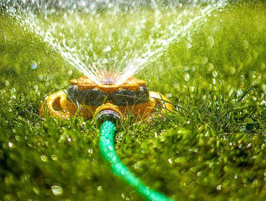 Be wise in your water ways — water on your day