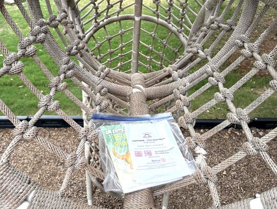 Free books! are part of Rotary program