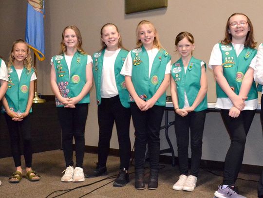 Girl Scouts attend School Board meeting