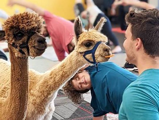 Grant money going toward programs promoting community health: ‘Get moving’