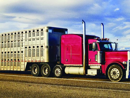 House Passes Wilk bill to strengthen CDL Standards