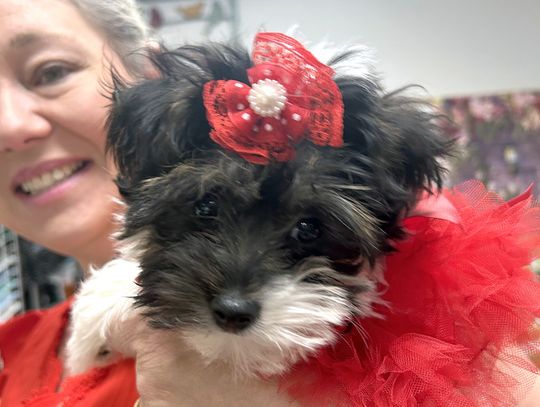 Mingling with Maggie