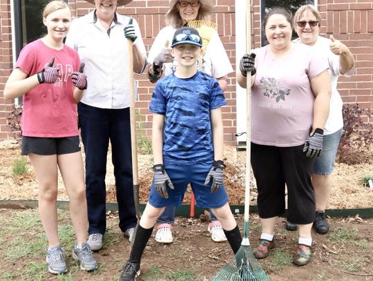 Newcastle library flower bed gets a new look