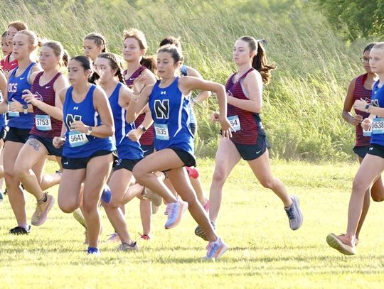 Newcastle varsity girls run 