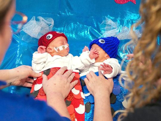 NICU babies Halloween