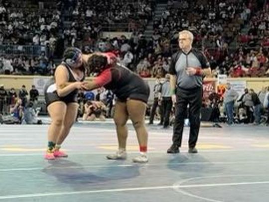 Nix, Rinehart place at State Wrestling Meet