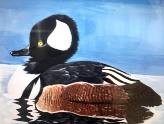 NMS 8th grader’s duck art wins first place, Best of Show