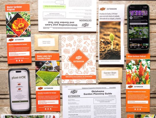 OSU Extension helps beginning gardeners cultivate success