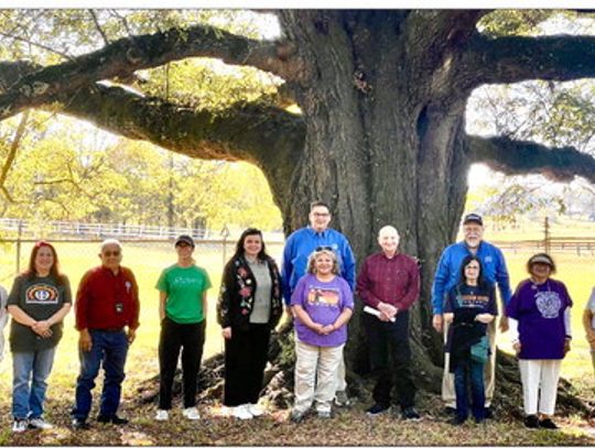 Reconnecting with ancestral Homeland