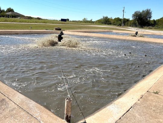 Sewer system stench seems to have settled