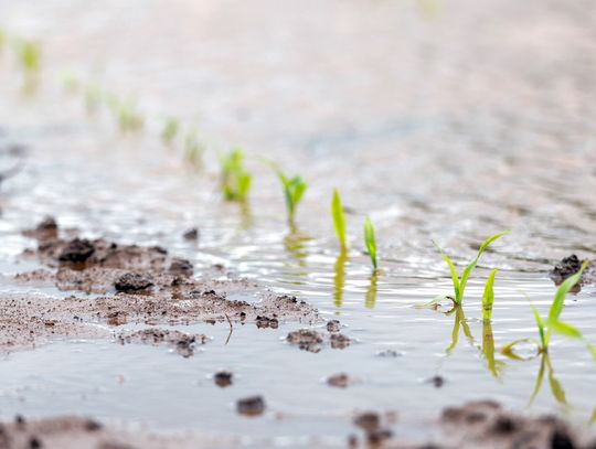 Soaklahoma – where the rain comes sweeping down the plains