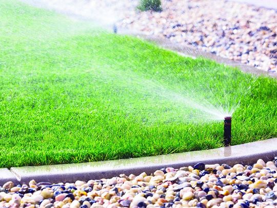 Watering your lawn?