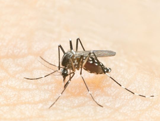 West Nile Virus detected in county