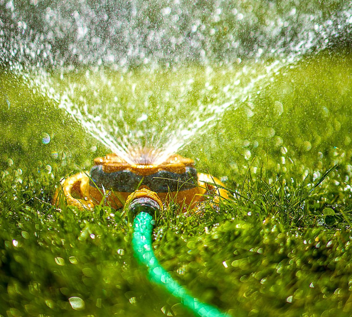 Be wise in your water ways — water on your day Be wise in your water ways — water on your day