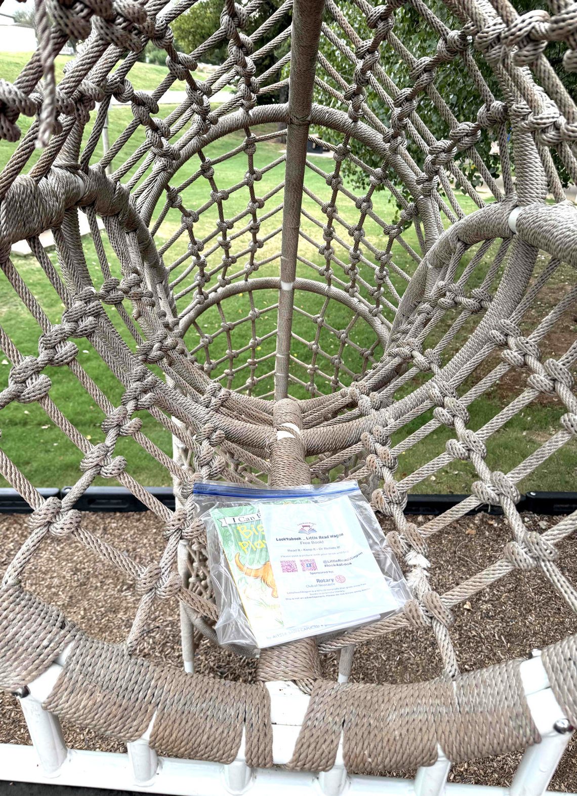 Free books! are part of Rotary program