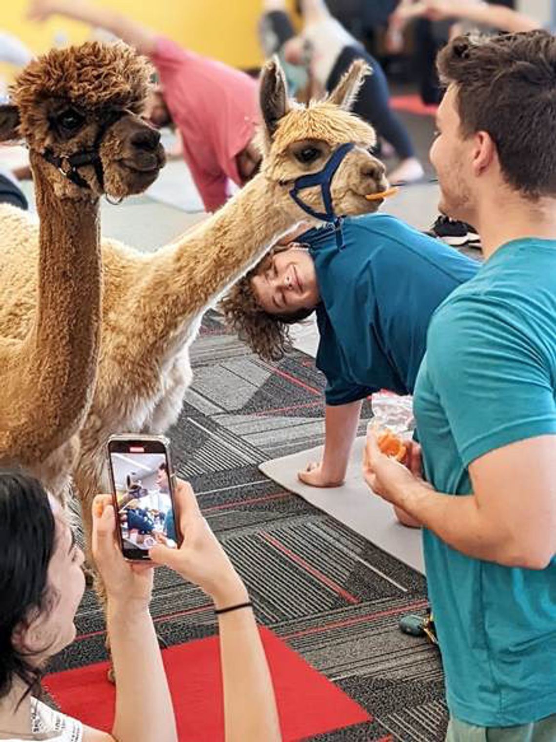 Grant money going toward programs promoting community health: ‘Get moving’