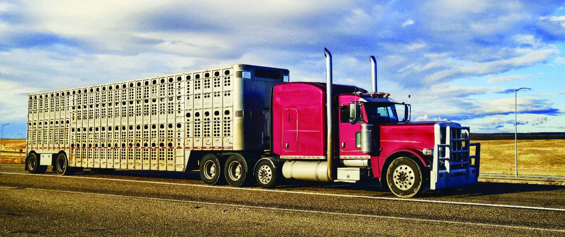 House Passes Wilk bill to strengthen CDL Standards
