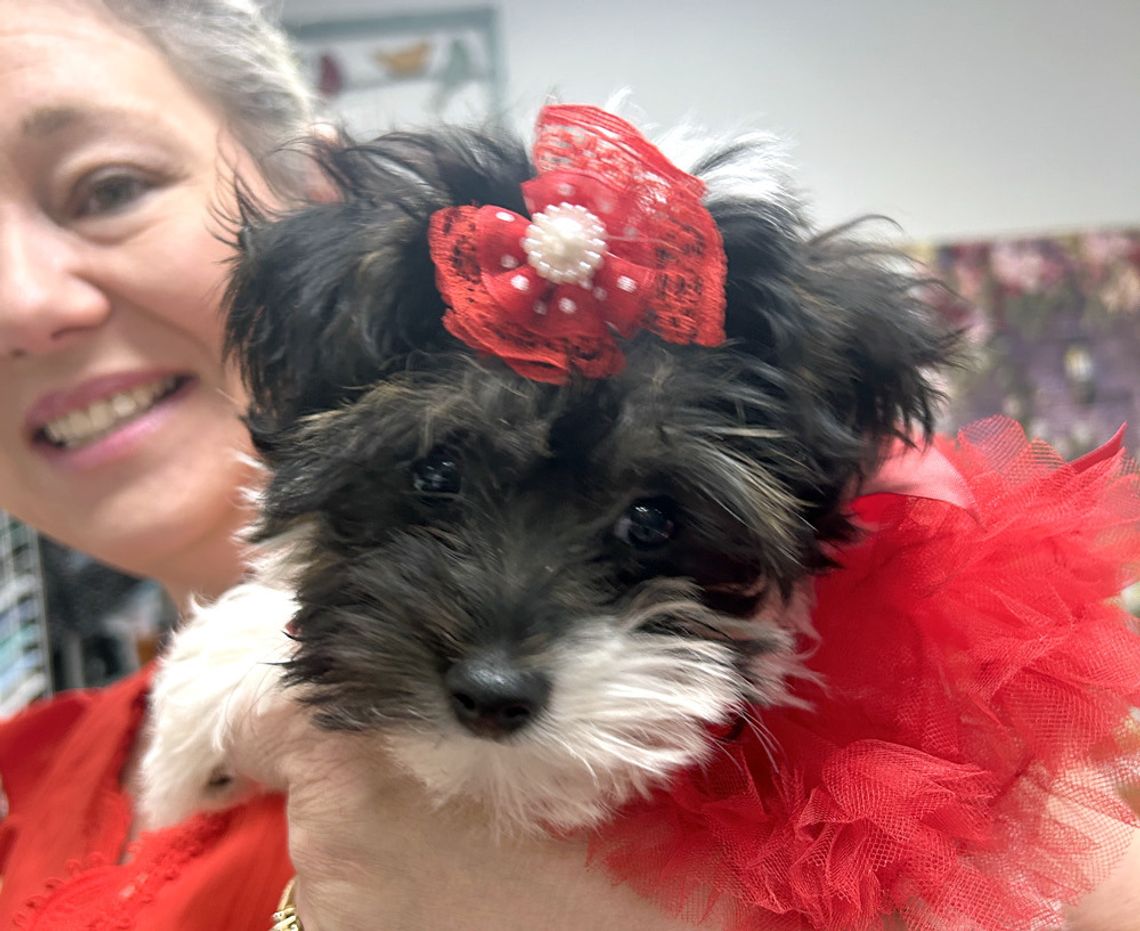 Mingling with Maggie