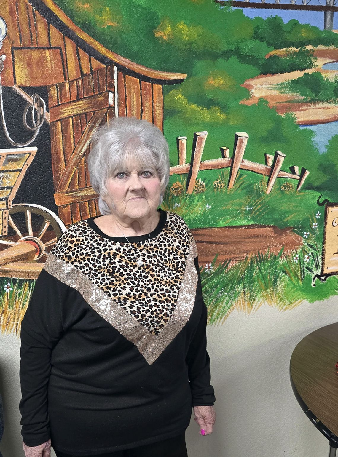 Newcastle Senior Citizens Center