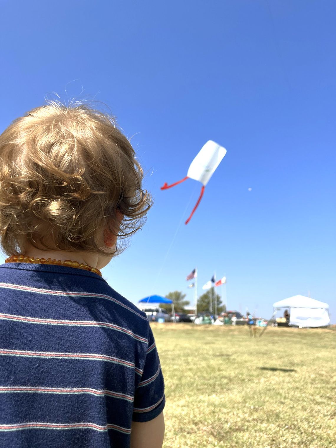 Pop Up in the Park Pop Up in the Park