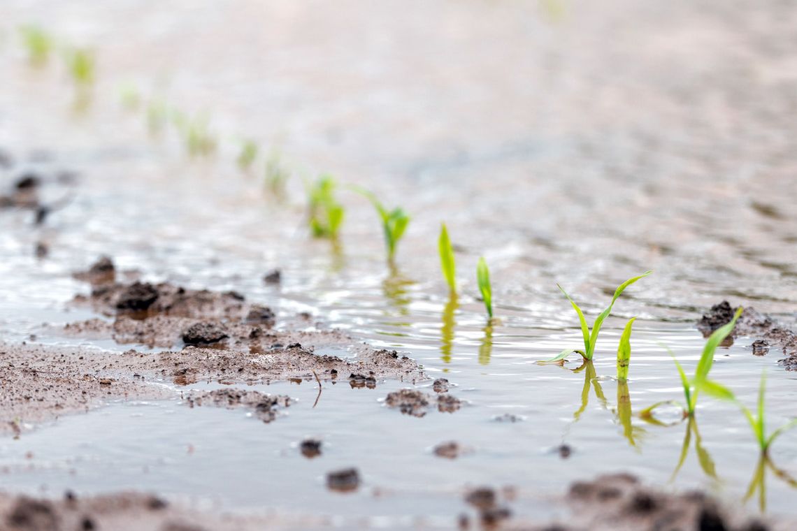 Soaklahoma – where the rain comes sweeping down the plains