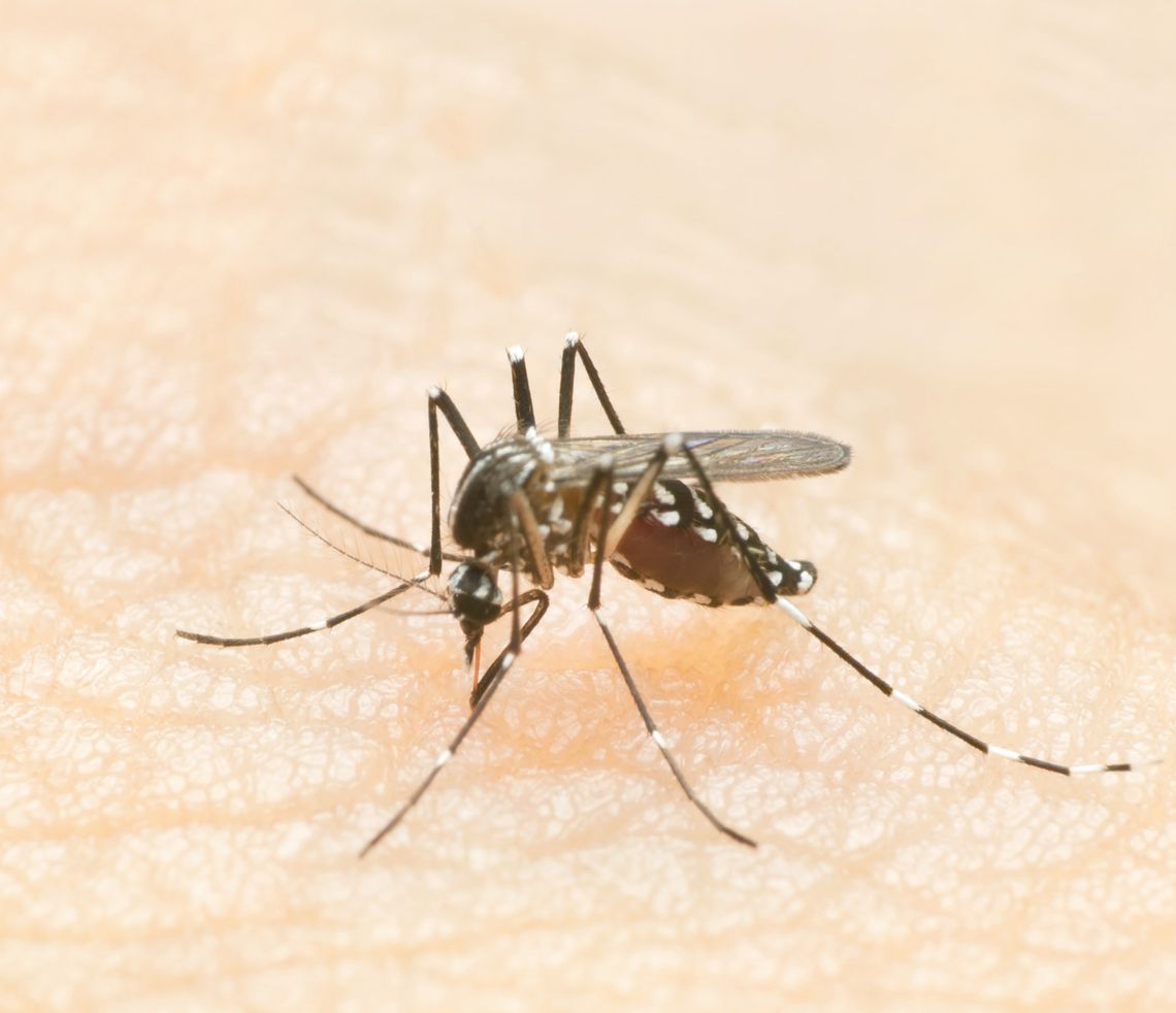 West Nile Virus detected in county